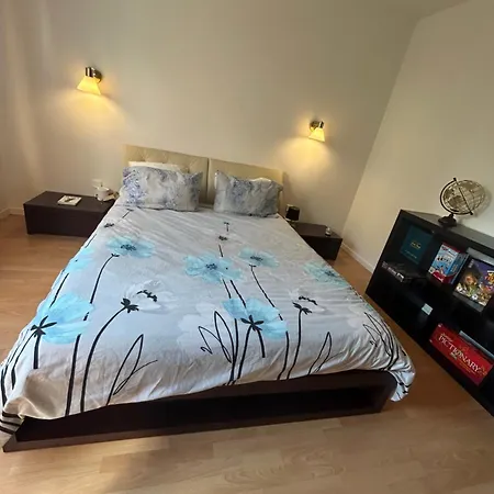 Apartment Superbe Avec Belle Terrasse Bischheim