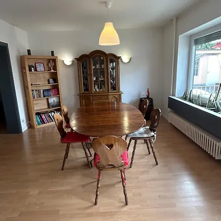Apartment Superbe Avec Belle Terrasse Bischheim