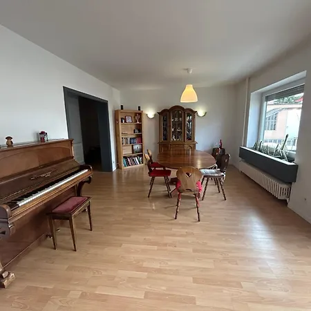 Apartment Superbe Avec Belle Terrasse Bischheim