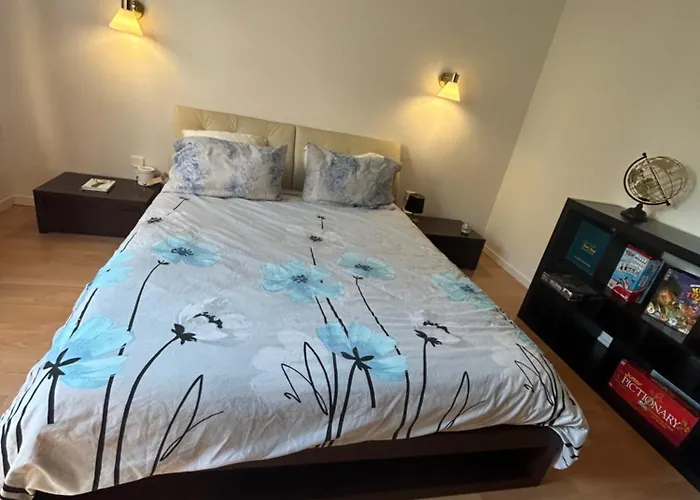 Apartment Superbe Avec Belle Terrasse Bischheim